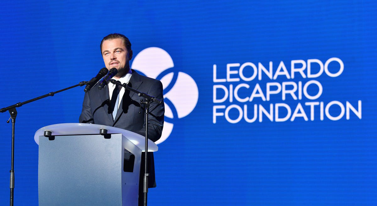 Leonardo DiCaprio Vakfı, iklim değişikliğini durdurmak için yeni ve cesur bir plan yaptığını açıkladı!