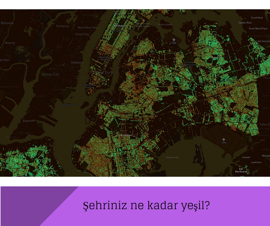 Şehriniz ne kadar yeşil?