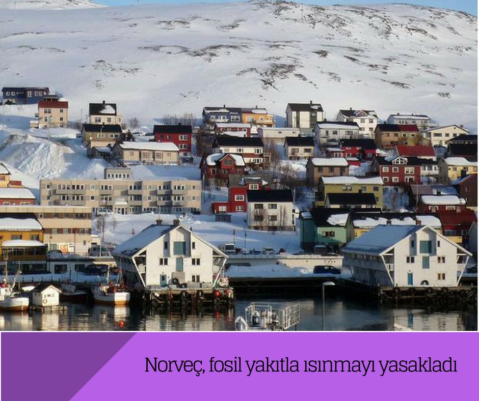 Norveç, fosil yakıtla ısınmayı yasakladı