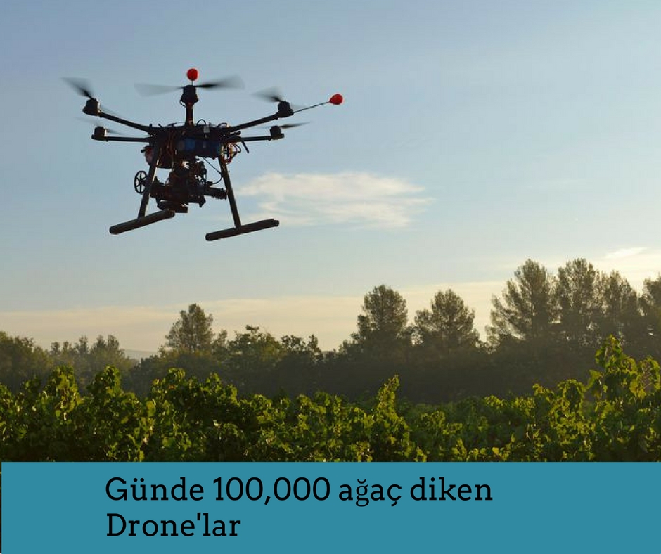 Günde 100,000 ağaç diken Drone’lar